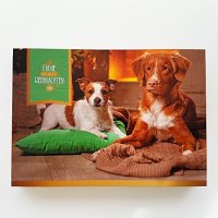 Luckys Adventskalender für Hunde