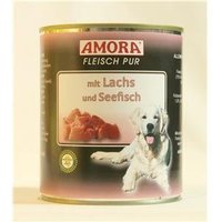 m baby ken dry food Amora pur Seefisch und Trockenfutter mit Lachs Fleisch