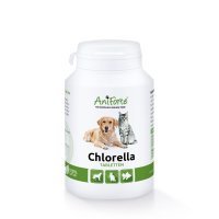 AniForte Chlorella Tabletten