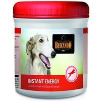 Belcando Instant Energy