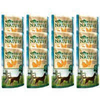 Dehner Best Nature Hundefutter Adult Geflügel und Ananas mit Reis