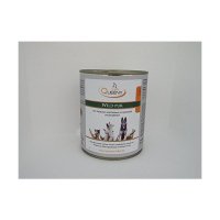 Queeny Hundefutter Wild pur