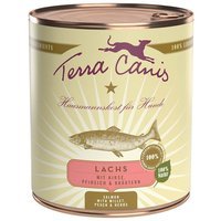 Terra Canis Lachs mit Hirse, Pfirsich & Kräutern