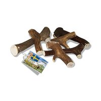 AniForte Vollgeweih Mineraldepot für Hunde Grösse XS