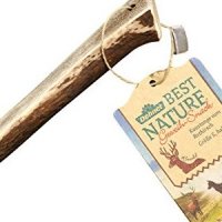 Dehner Best Nature Kaustange vom Rothirsch halb S