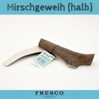 FRESCO Hirschgeweih halb M