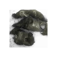 Frostfutter Perleberg Barf Frostfutter - Rindernasen (mit Fell)
