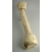 Hollings Rawhide Knot Dog Bone