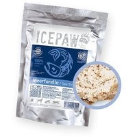 ICEPAW Meeresforelle