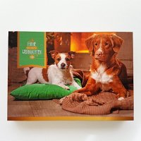 Luckys Getreidefreier Adventskalender für Hunde