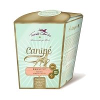 Terra Canis Canipè Getreidefrei, Pute mit Gemüse und Apfel