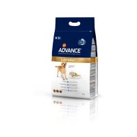 Affinity ADVANCE Labrador Retriever Adult