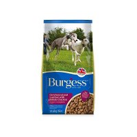 Burgess SupaDog Greyhound