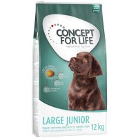 Concept for Life Large Junior