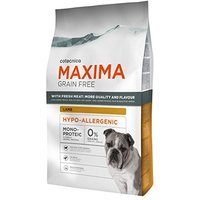 Cotecnica Maxima Grain Free Hypoallergenic Lamb