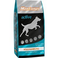 Montanus active