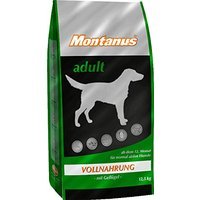 Montanus adult
