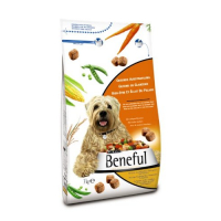 Purina Beneful Gesunde Ausstrahlung