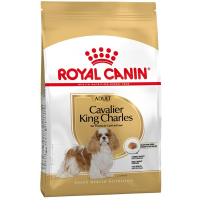 Royal Canin Cavalier King Charles Adult