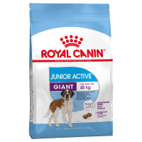 Royal Canin Giant Junior Active