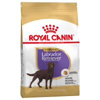 Royal Canin Labrador Retriever Adult Sterilised