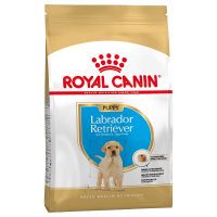 Royal Canin Labrador Retriever Puppy