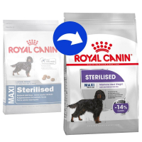 Royal Canin Maxi Sterilised