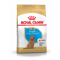 Royal Canin Poodle Puppy