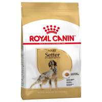 Royal Canin Setter Adult