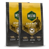 WESTHO Energy