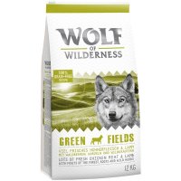 Wolf of Wilderness Green Fields - Lamm