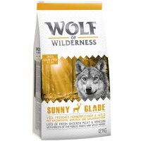 Wolf of Wilderness Sunny Glade - Wild