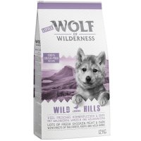 Wolf of Wilderness Wild Hills Junior